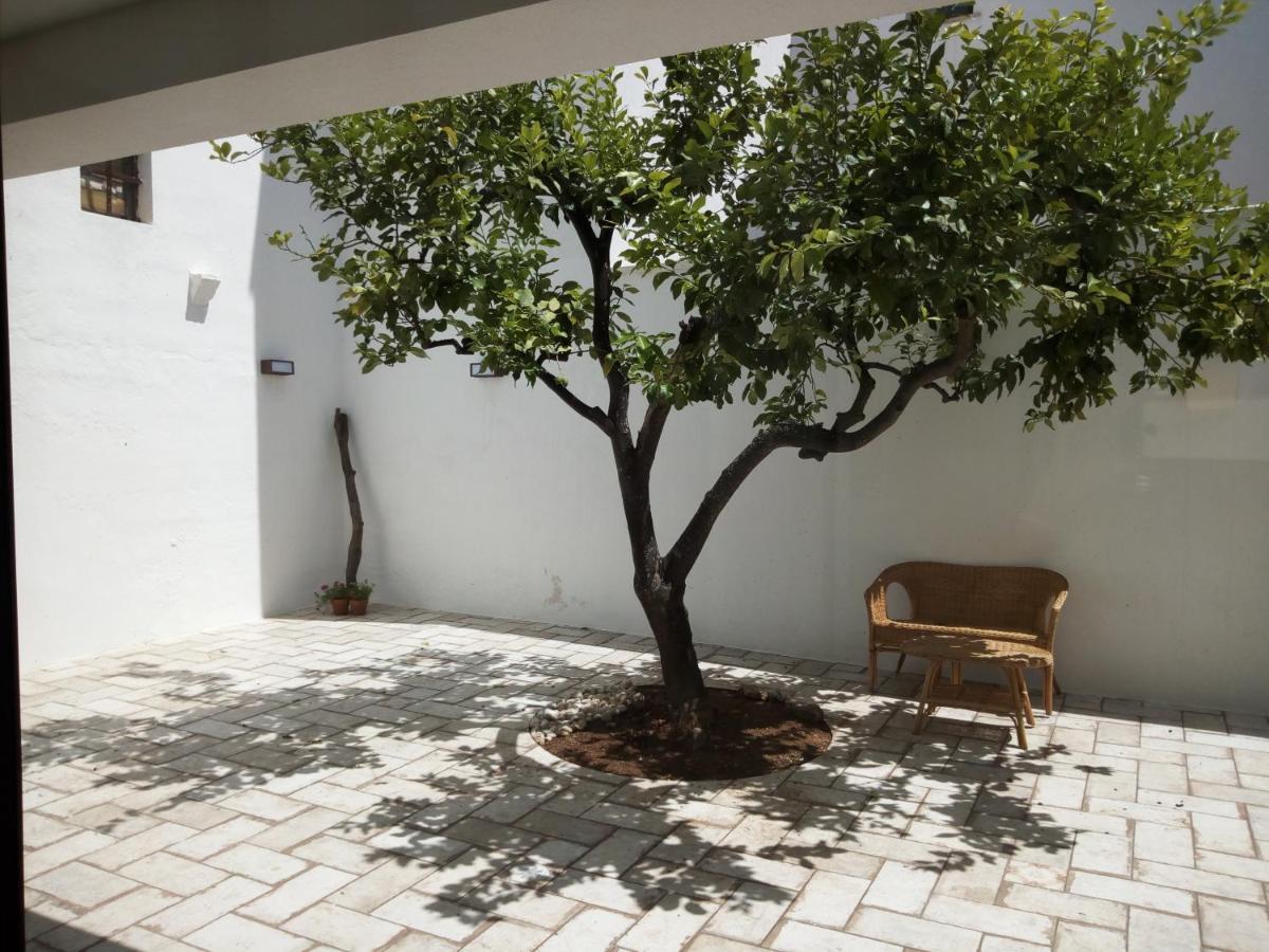 Cortile Calinea Bed and Breakfast Castrignano del Capo Eksteriør billede